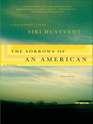 cover image of The Sorrows of an American